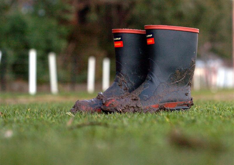 Skellerup affected by dry conditions Otago Daily Times Online News