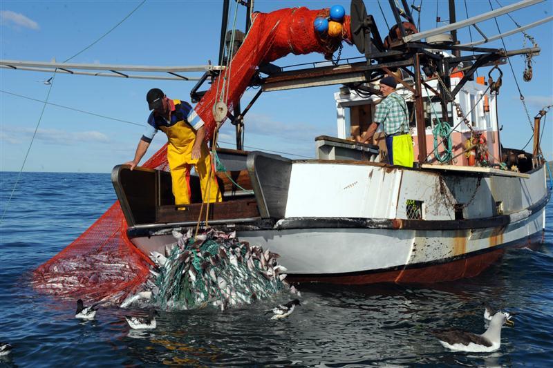 A Long Haul 100 Years Of Fishing At Port Otago Daily Times Online News