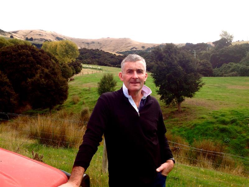 'Disastrous' wool auction underlines difficulties Otago Daily Times