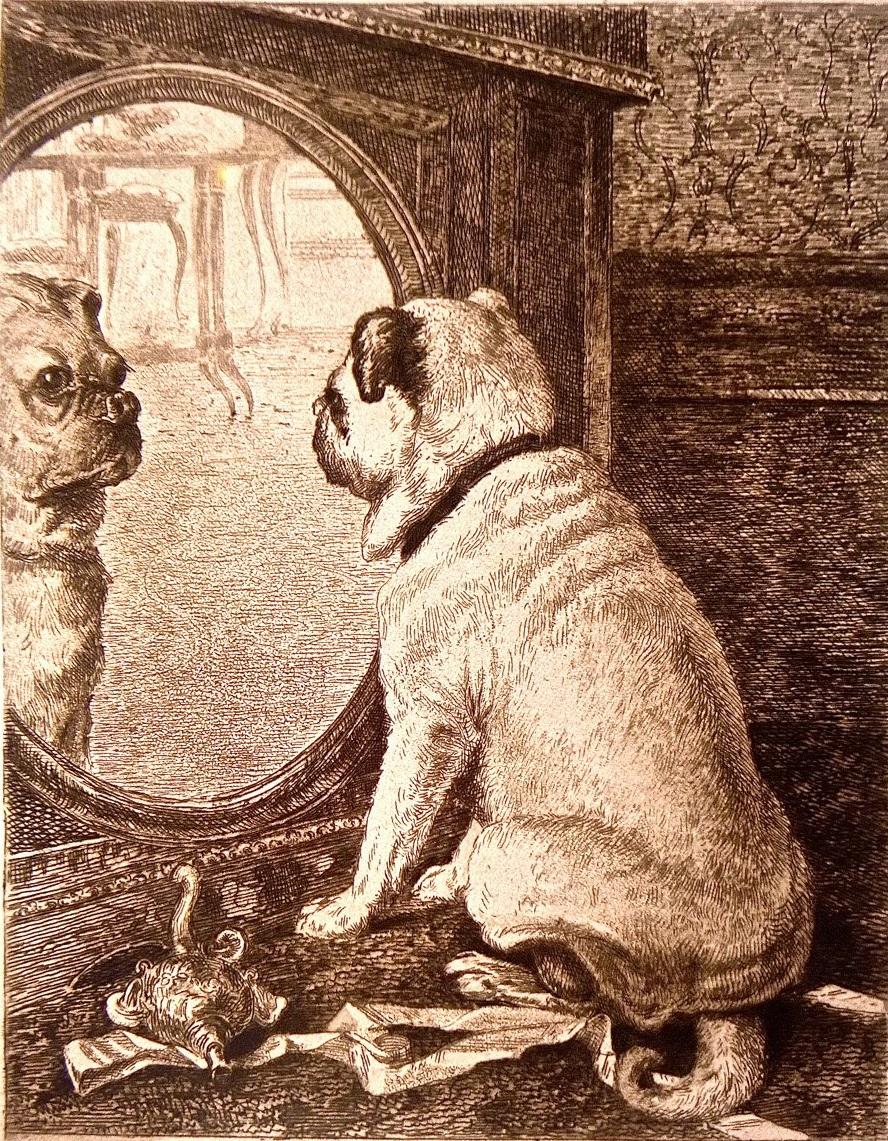 Queen victoria discount pugs