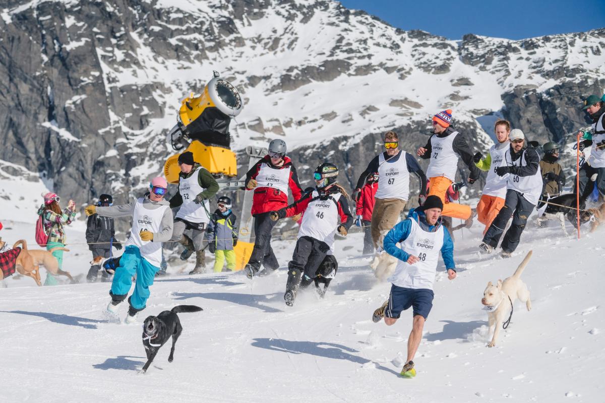 New Format For Winter Festival Is Revealed Otago Daily Times