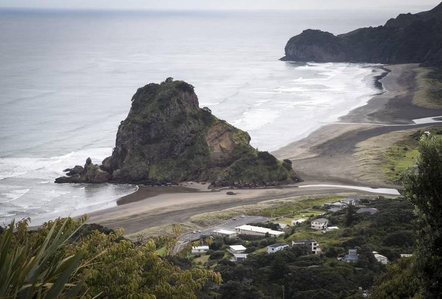 Nz herald quiz Nz herald quiz