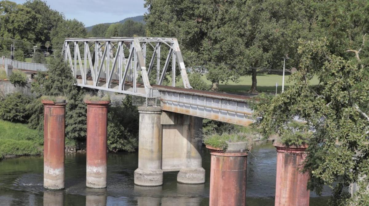 A train driver's tragic story