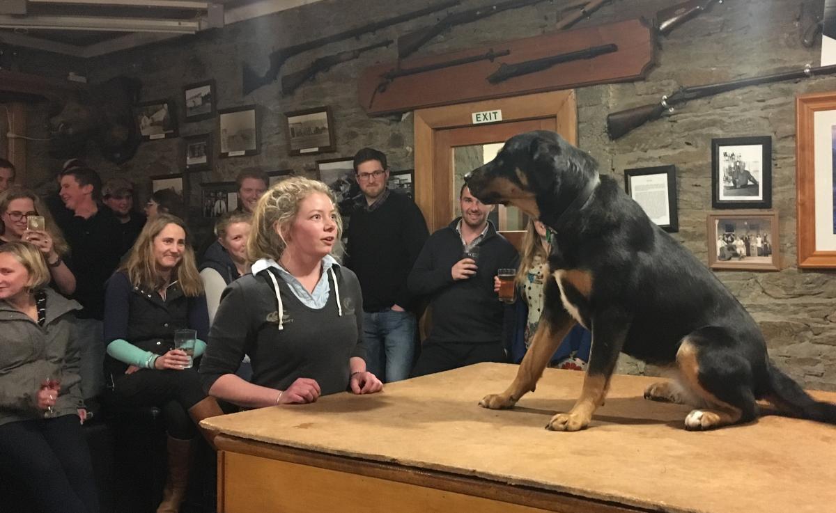 Bark Up bypasses wrong tree for pub
