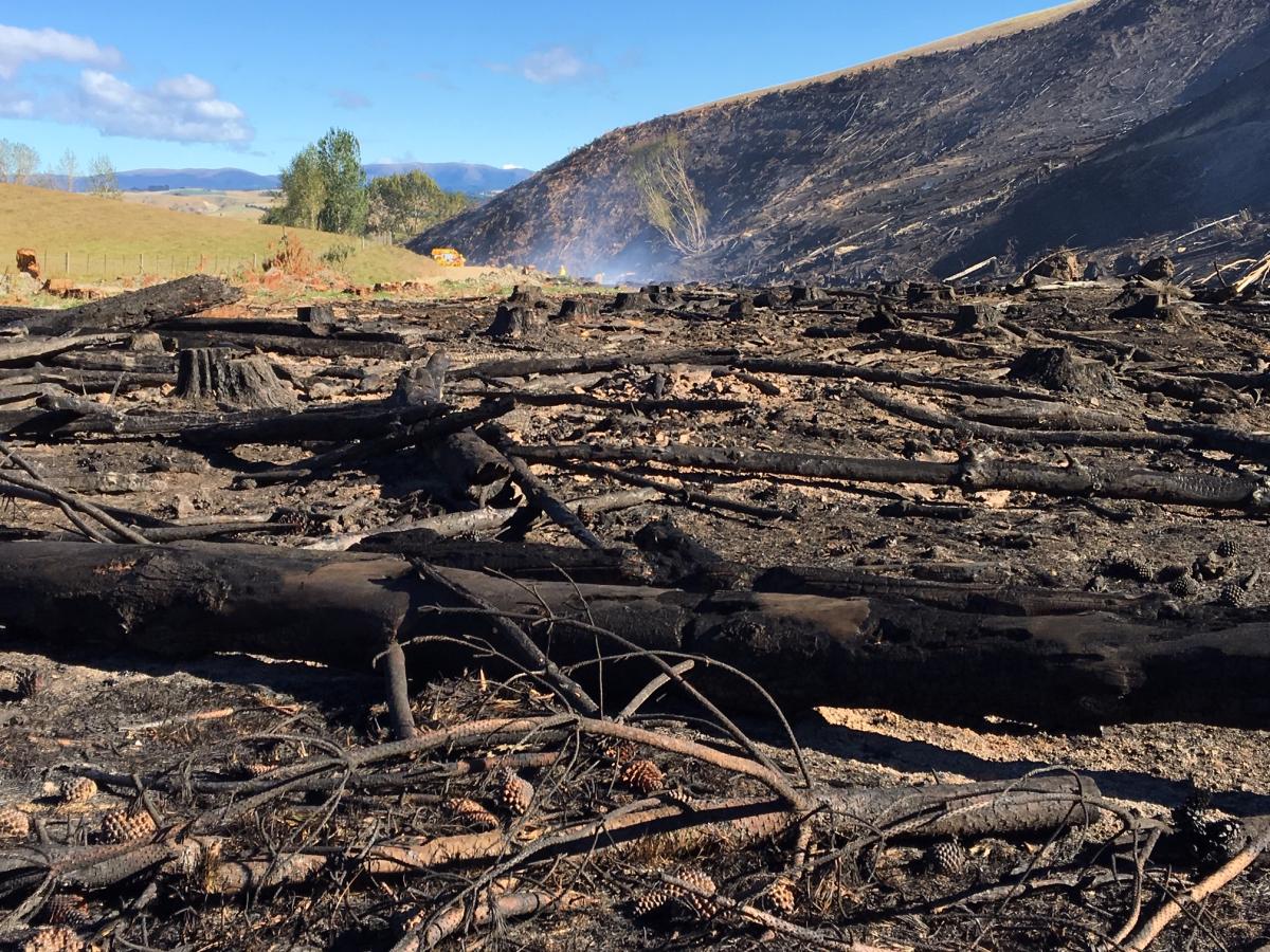 Out of control burn-off near Lawrence contained