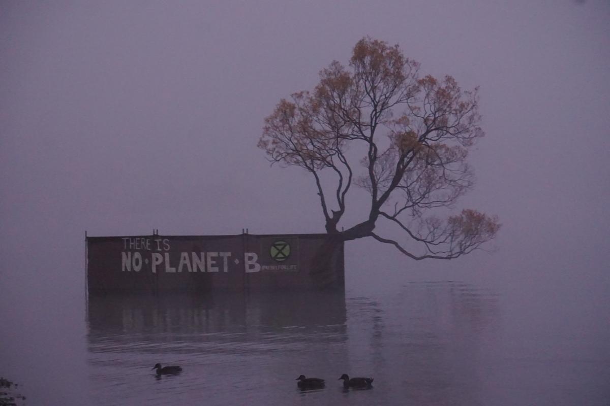 Enviro group protests at Wanaka tree