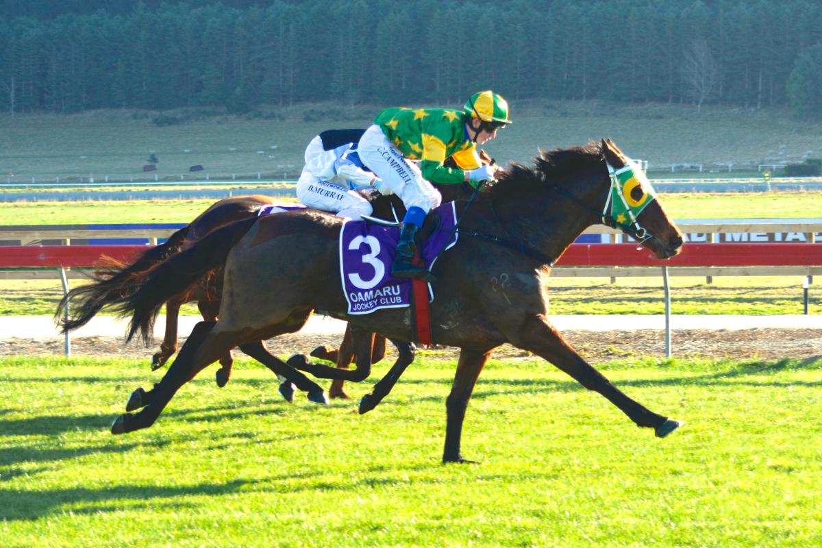 Londonderry Air may yet get some air himself Otago Daily Times Online