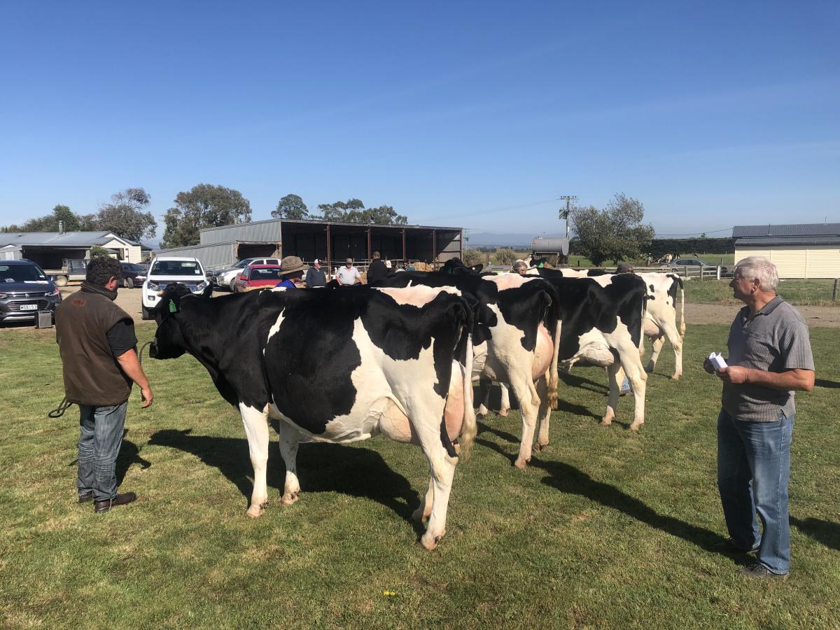 Judging school hailed success