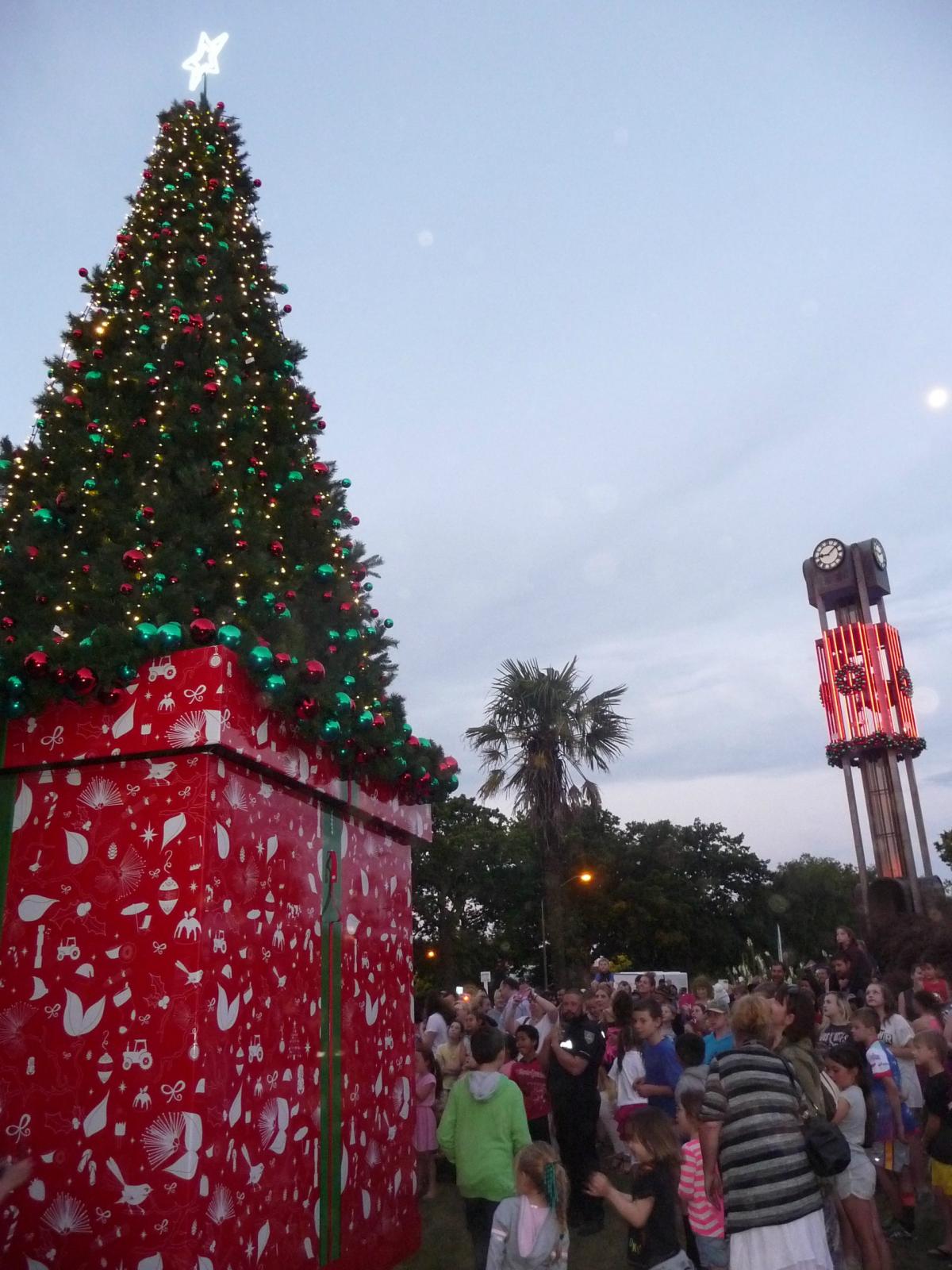 Split over where Ashburton Christmas tree should be located Otago