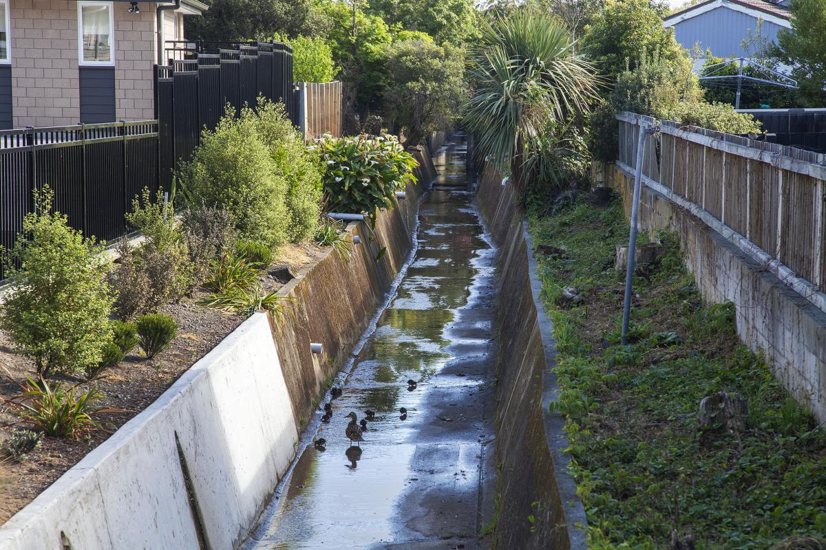 'Community-driven projects like this are a great step forward': $40k for St Martins stream