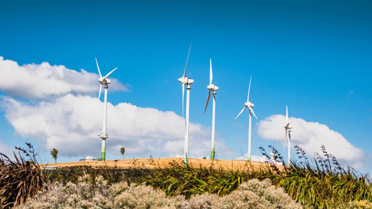 Castle Hill could become country's largest windfarm, creating 200 jobs