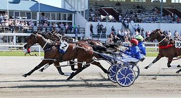 Addington Cup 2022 Harness Racing