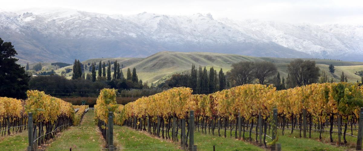 Cold burst will cause temperatures to drop, snow for elevated areas