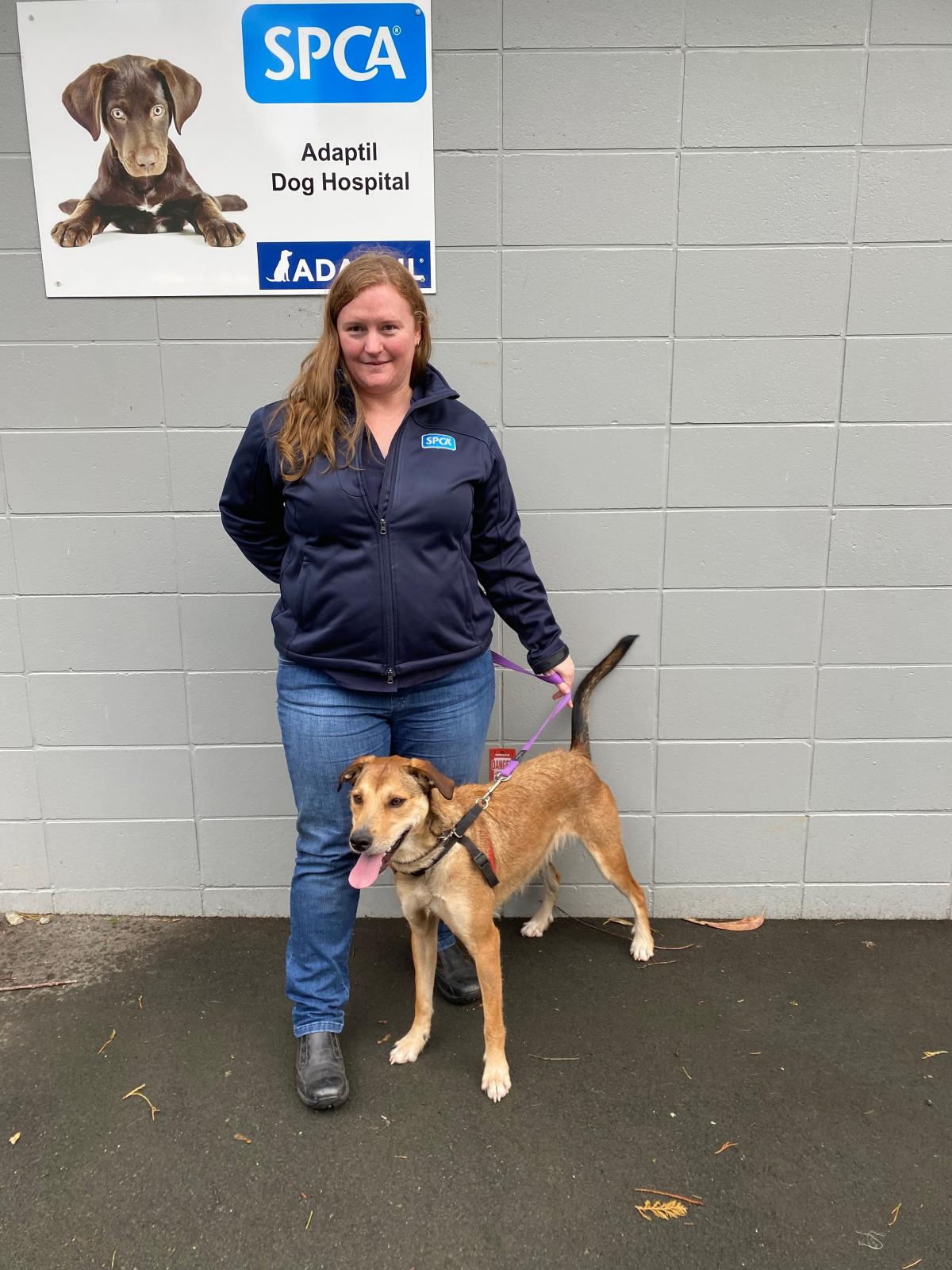 Spca adoption centre shop