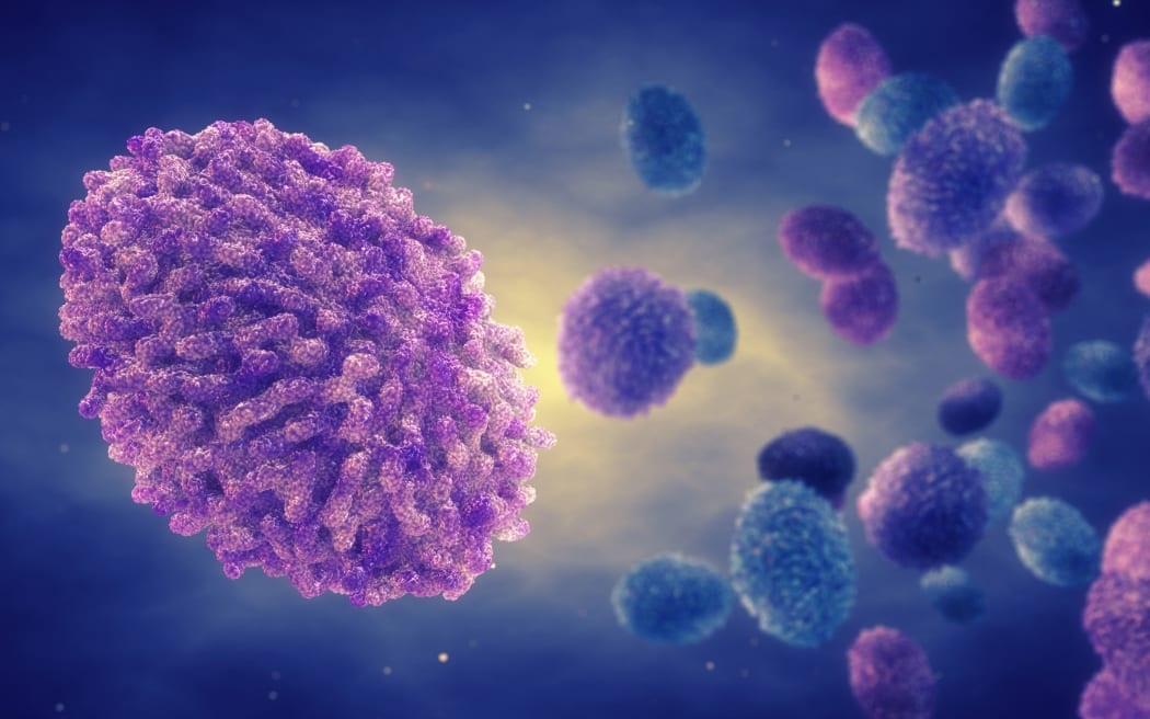 Fifth monkeypox case confirmed in NZ