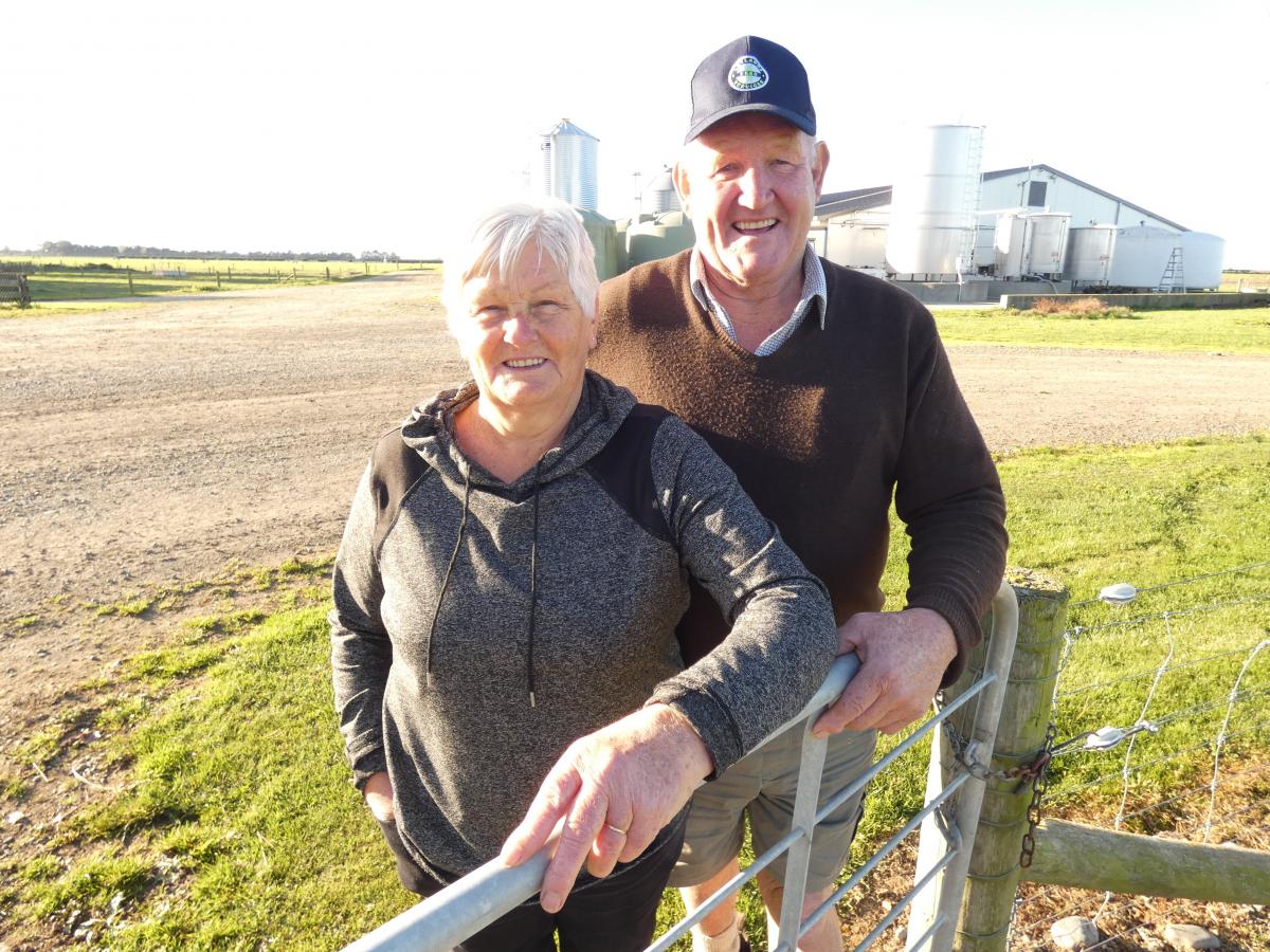 Sheep farming to dairy earns farmer recognition