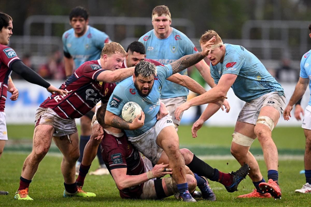 Stags and Taniwha share the spoils in golden bore