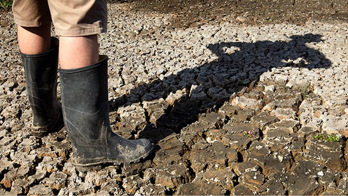 Des températures allant jusqu’à 39°C annoncent un été torride