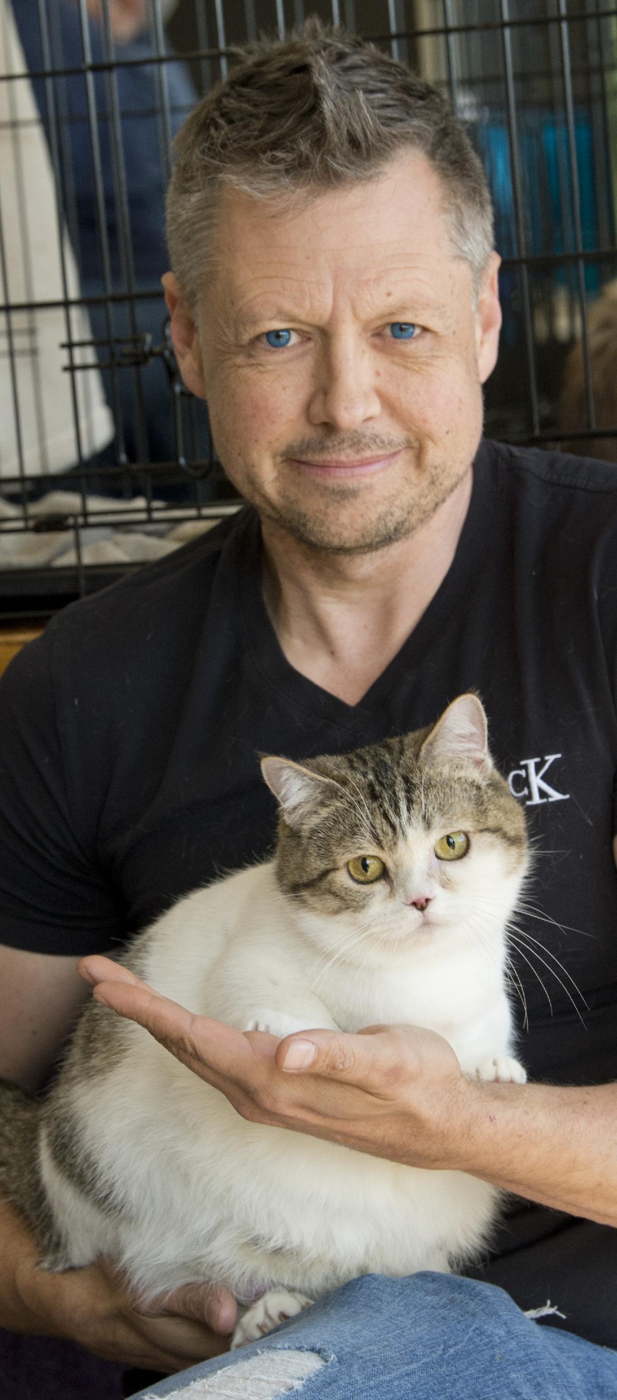Purrfectly pampered pets on display