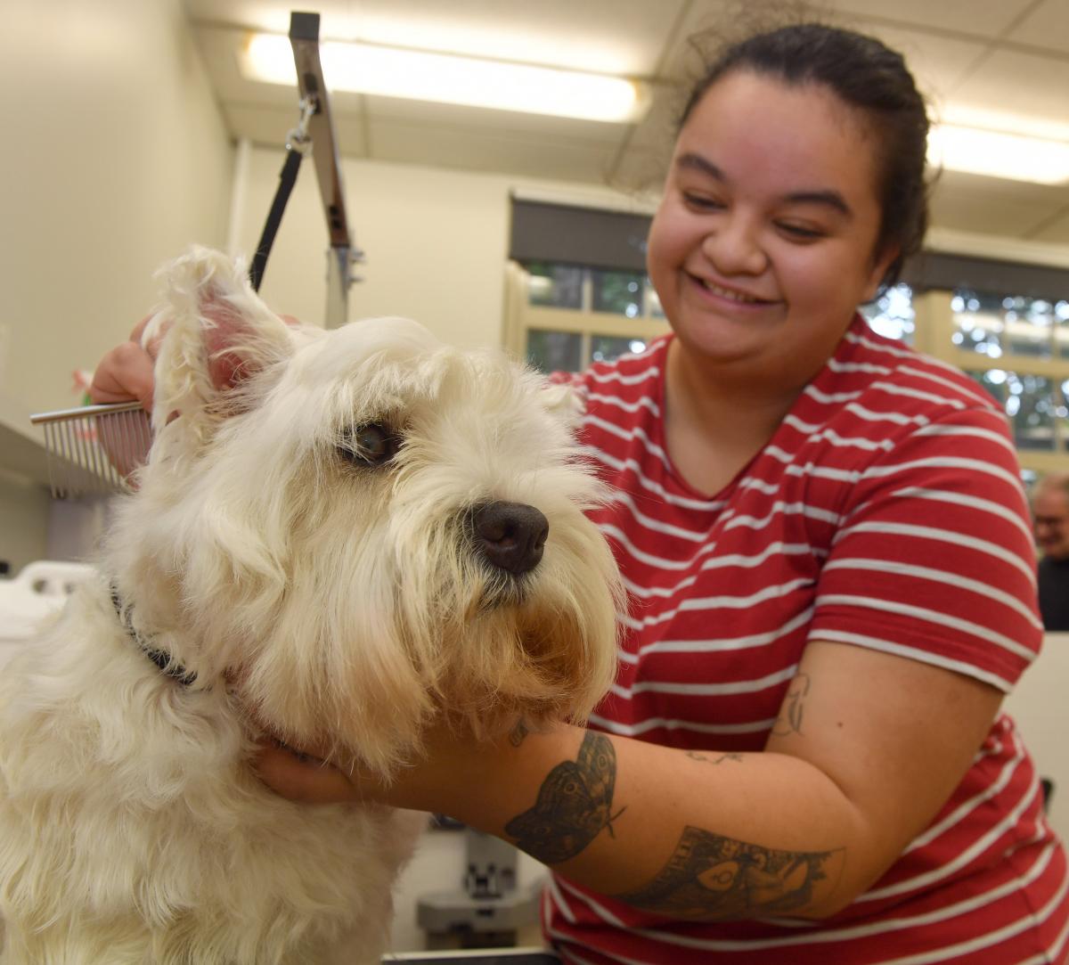 Vet nursing course to teach pet grooming Otago Daily Times Online