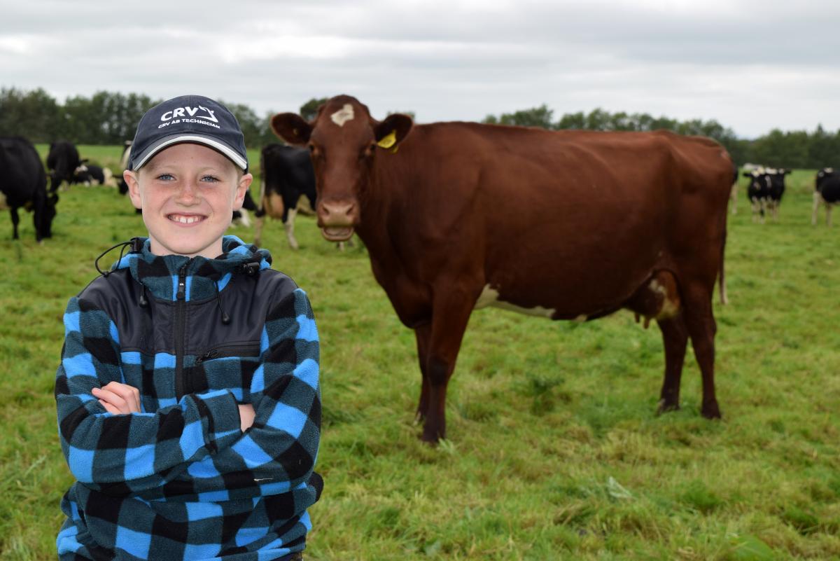 Young buyer gets his dream cow