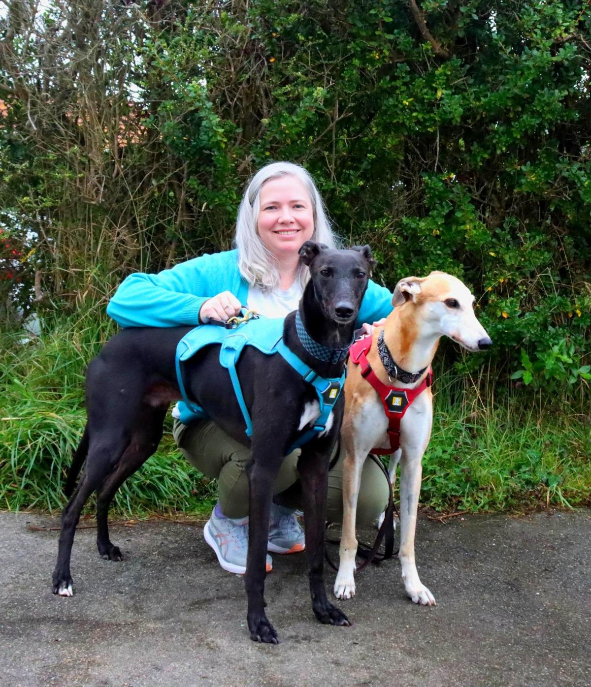 Huge project to rehome retired racing dogs