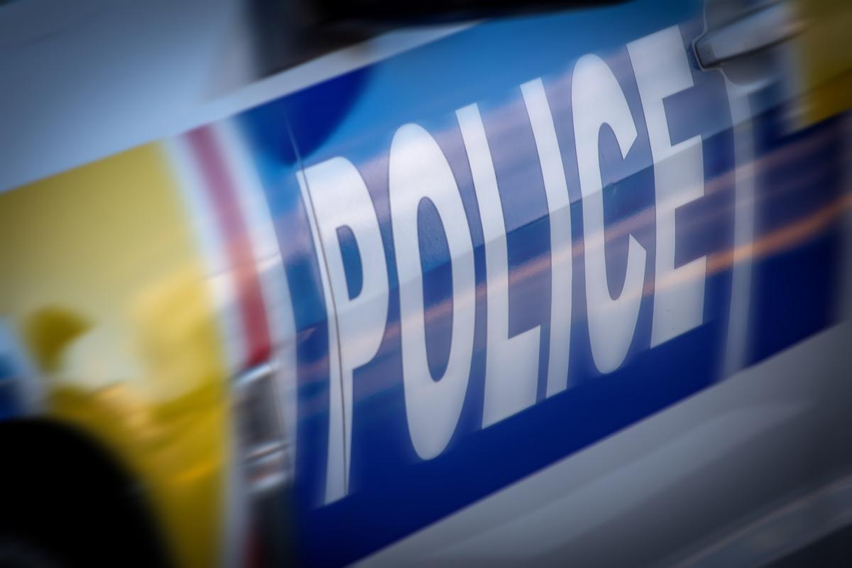 Driver shoved woman, punched her husband in the head: police
