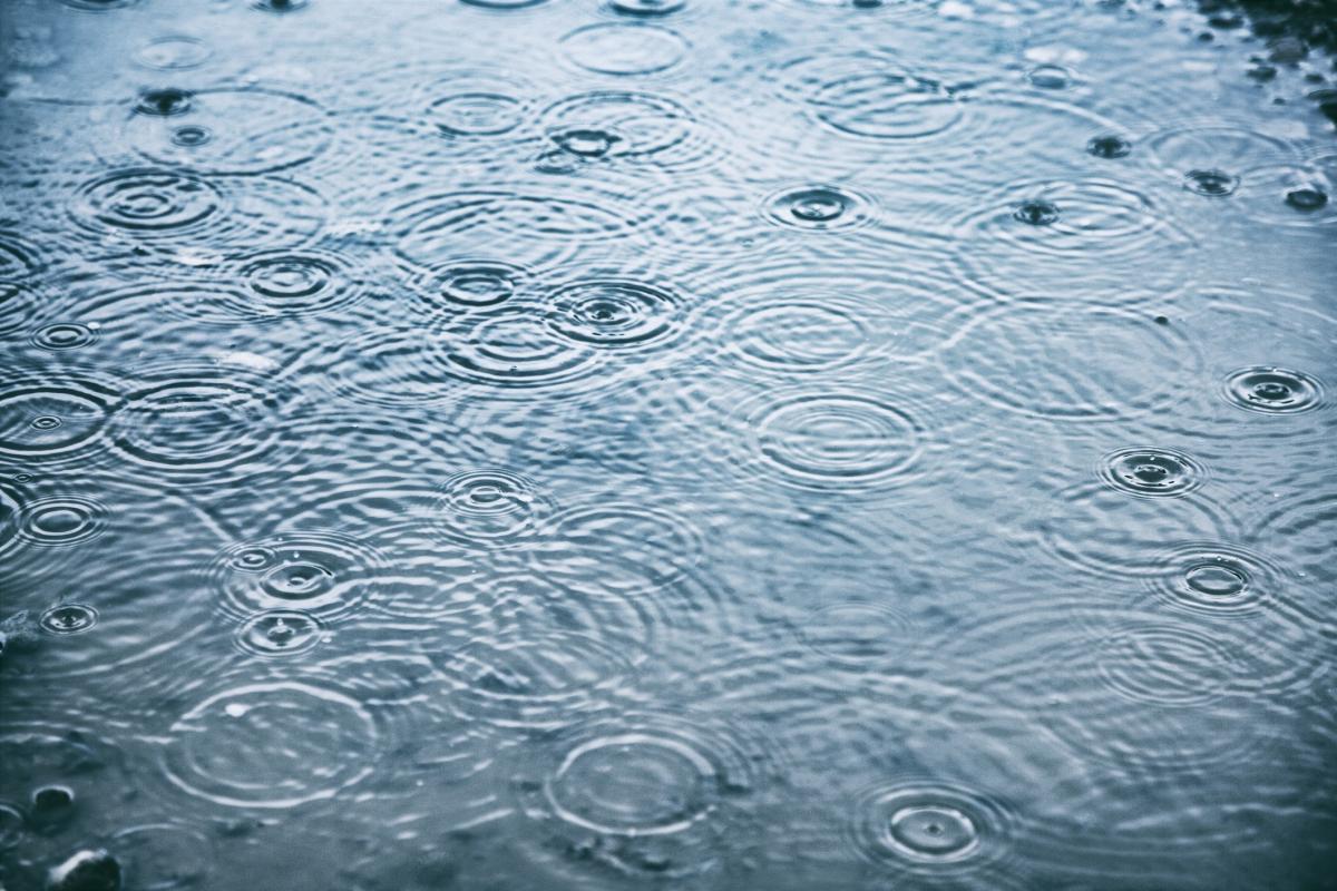Heavy rain and wind in forecast for parts of South Island