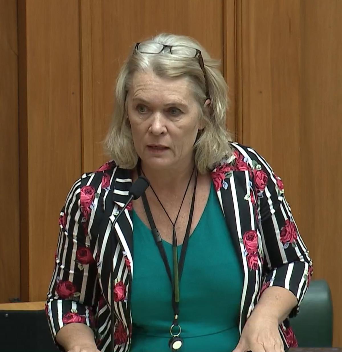 odt.co.nz - Letters to the Editor: councils, mining and Leary