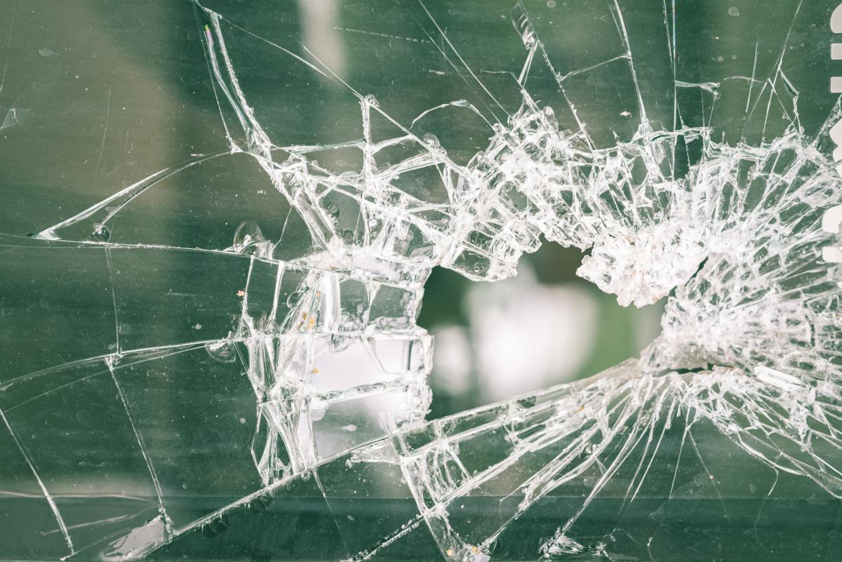 Angry owner 'hurls dog through glass door' in Mornington