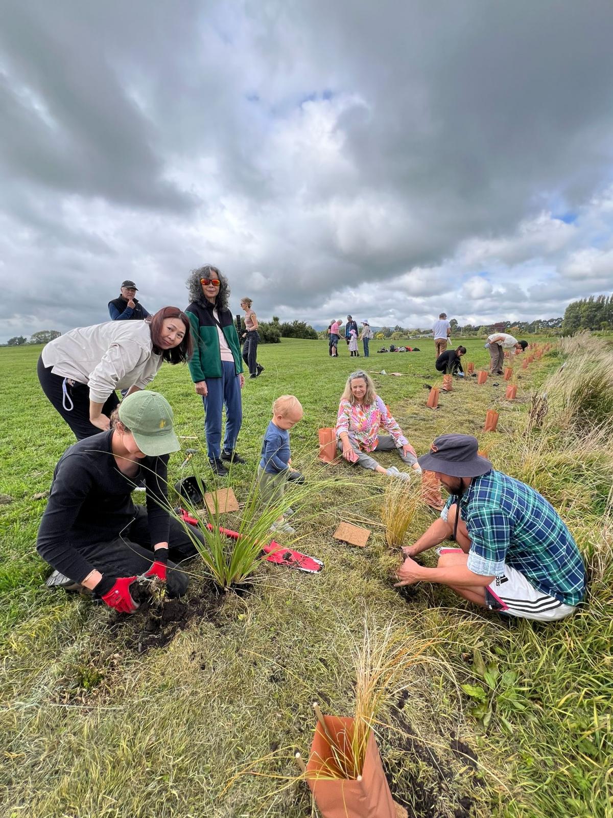 Wedding guests put to work planting trees before couple tie the knot