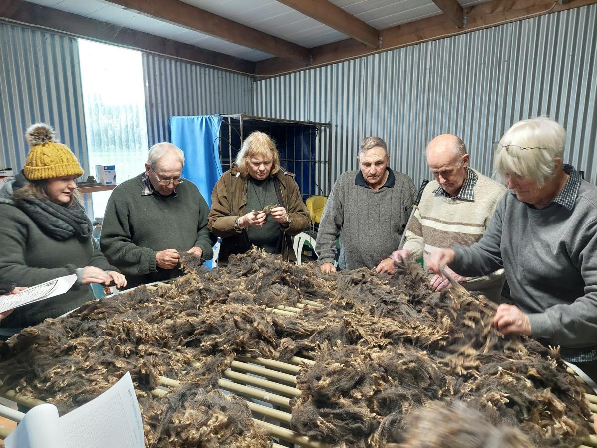 Wool crafters open day