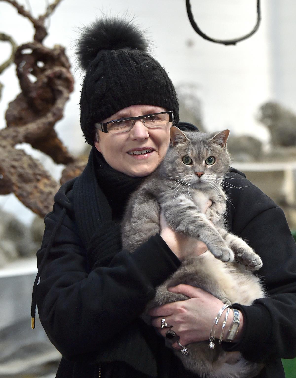 Feline discovery cements new focus