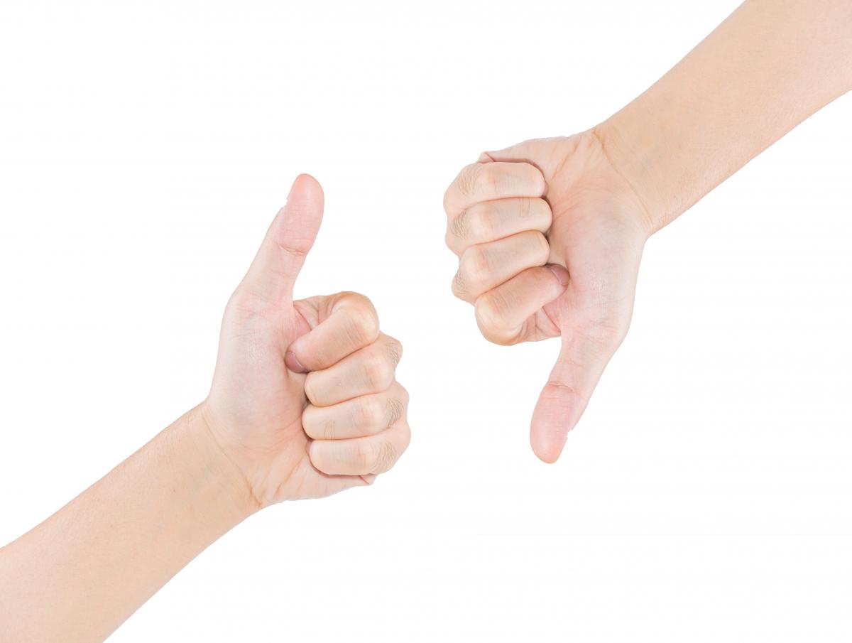 The secret diary of ... opinion polls
