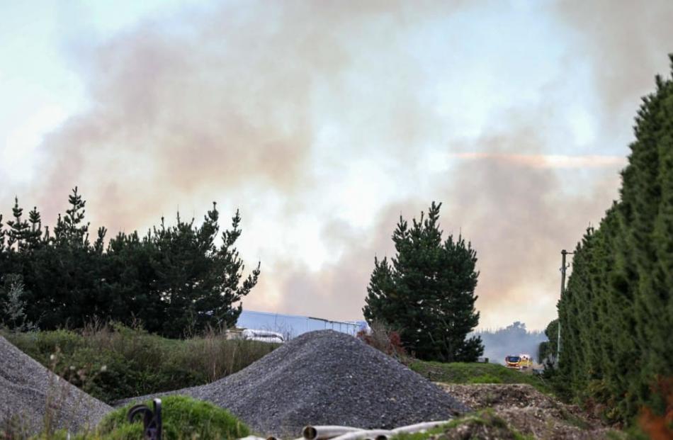 Photo: RNZ / Nathan McKinnon