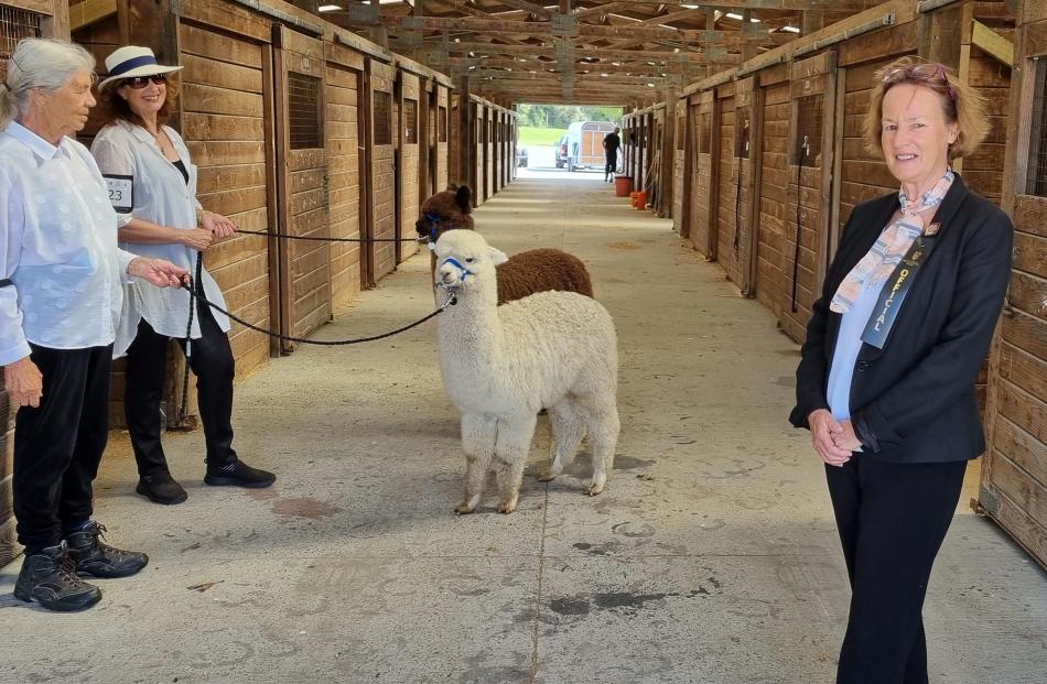 Anne Rogers was the conveyor of the alpaca section of the show in 2021. Photo: RNZ / Rachel Graham