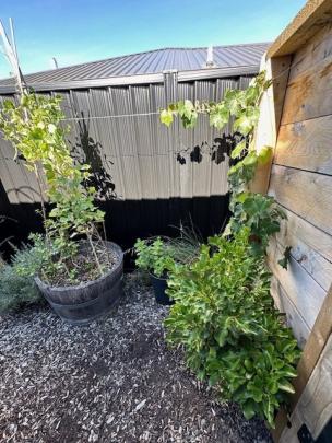 No space is wasted as plants grow vertically and horizontally.