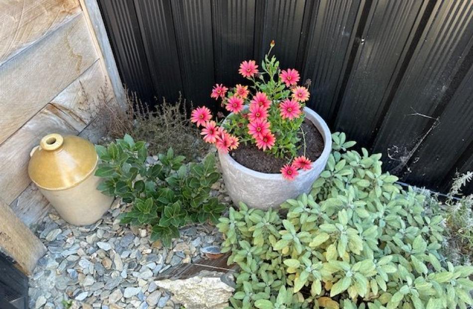 Interesting objects have been tucked in with plants for even greater interest.