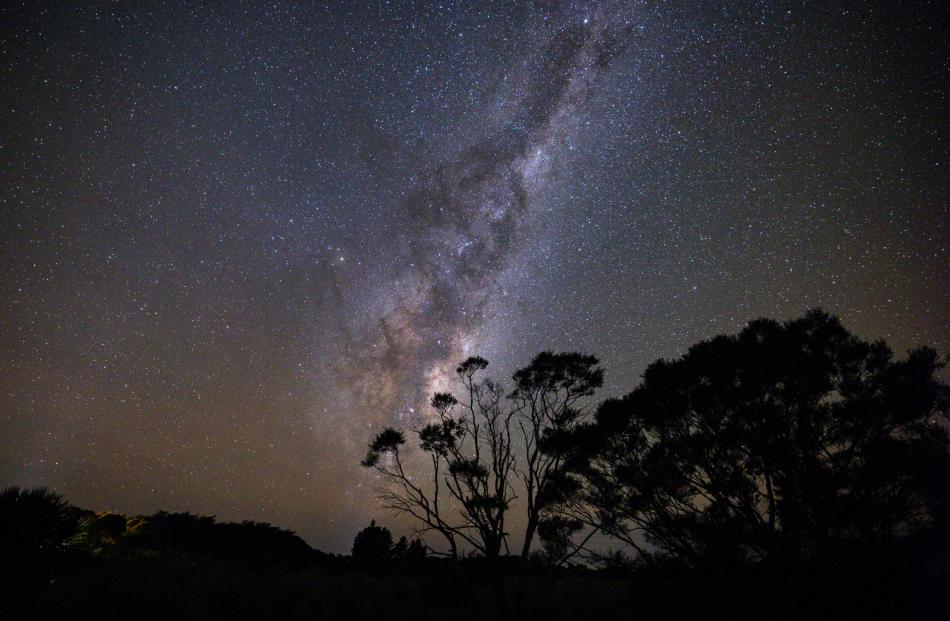 Photo: Rachel Gillespie