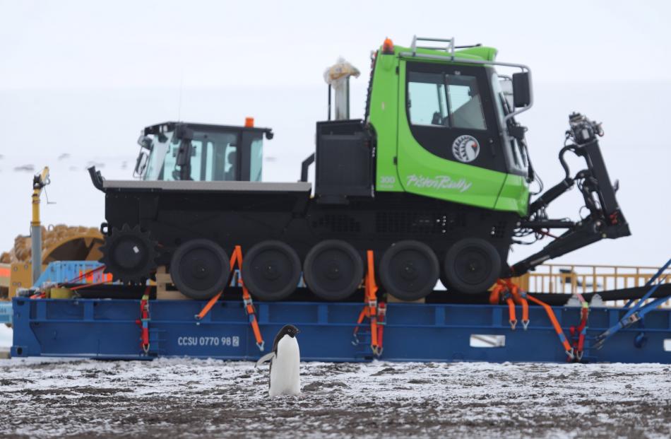 The Adélie penguin wandering around the machinery at Antarctica. Photo: TikTok @mattykjordan