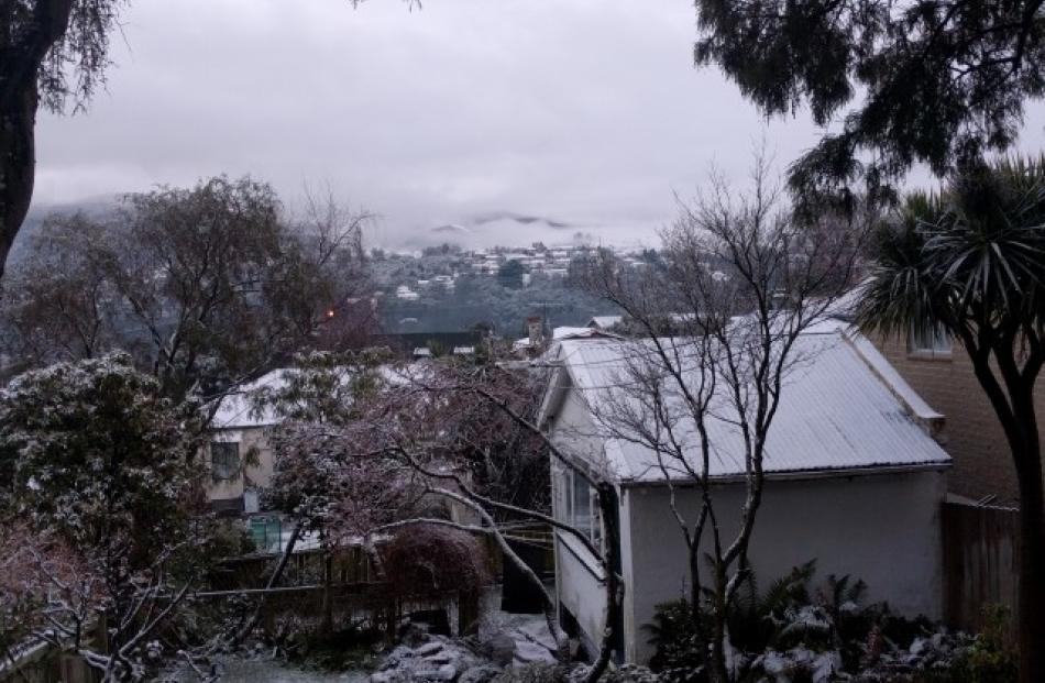 Snow in Opoho this morning. Photo Vaughan Elder