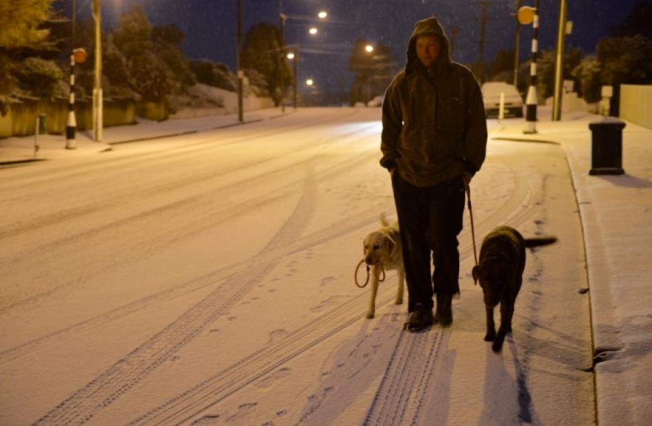 Calvin Beel walks his dogs on Taieri Rd in Dunedin this morning. Photo Stephen Jaquiery