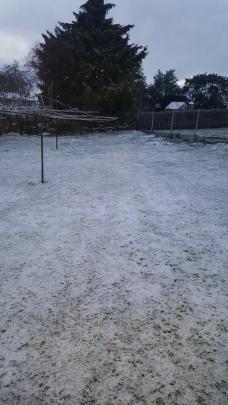 Sarah Palmer's backyard in Mornington