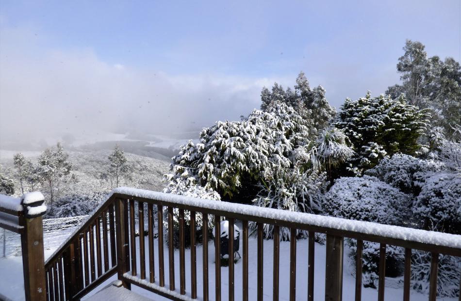 Snow on Mount Cargill. Photo: Bryce