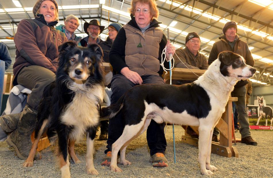 Watching the dog trials are Jackie Clarke, of Table Hill, and Sharon Paterson, of Waikaka, with...