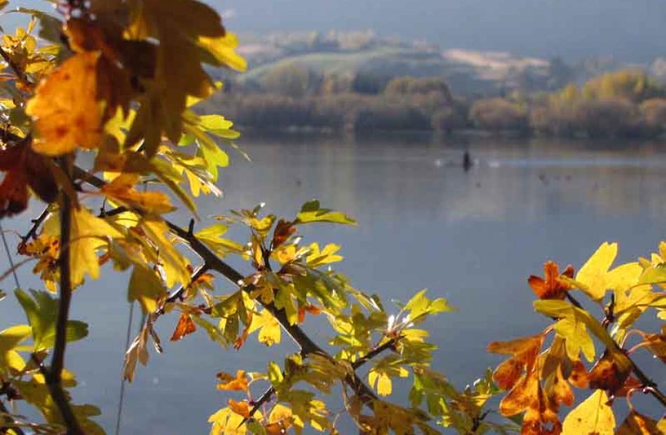 Autumn leaves frame a picture-perfect Lake Hayes. Photo by Tracey Roxburgh