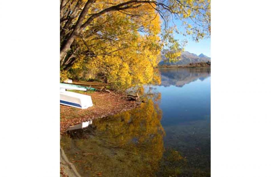 Reflections in a lake . . . Lake Hayes was almost glass-like yesterday, during one of the most...
