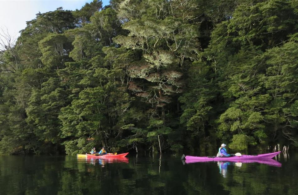 Members of FTORC kayaking along the shores of Lake Monowai.