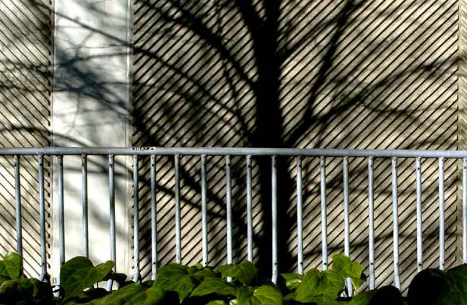 A bicycle rack outside the Richardson Building. Photo by Gerard O'Brien.