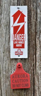 A red-tagged power pole in Pine Hill. Photo: Gregor Richardson.